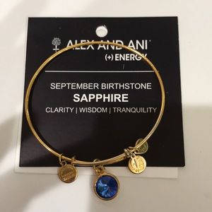 Alex and Ani Bracelet - Sept. birthstone sapphire